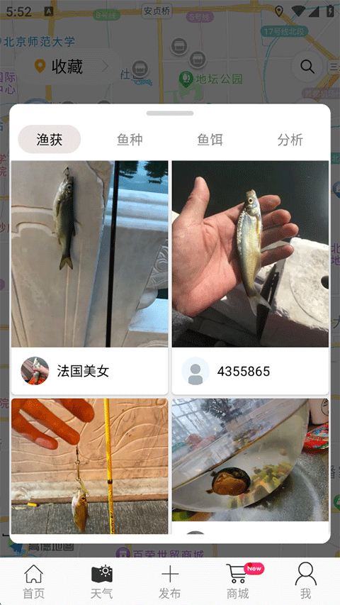 渔获App