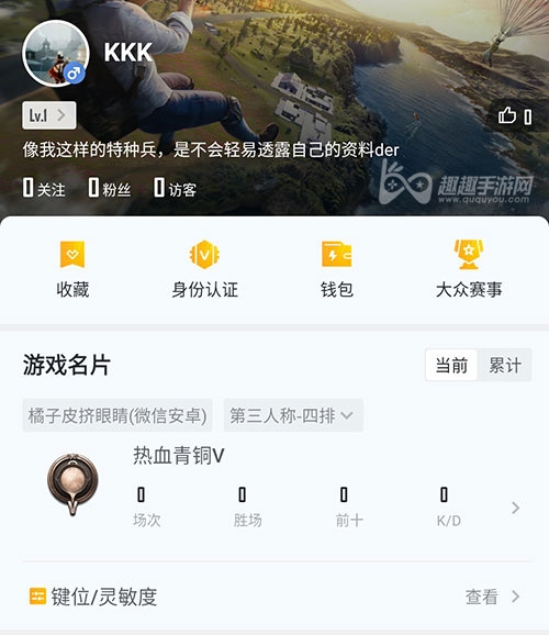 和平精英访客记录