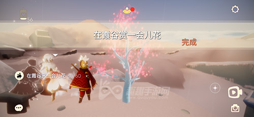 光遇在霞谷赏一会儿花完成攻略05