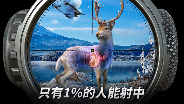 狩猎冲突最新版