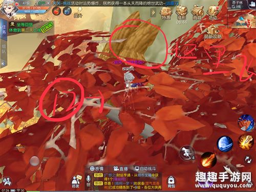 武林外传手游杏子林轻功位置12