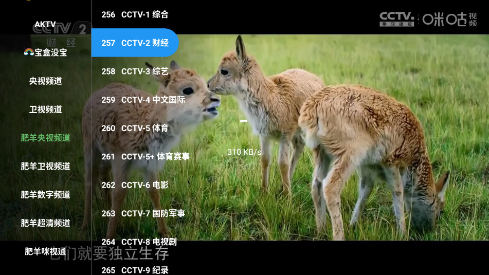 宝盒TV电视版