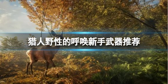 猎人野性的呼唤武器推荐（新手怎么买武器更合适）