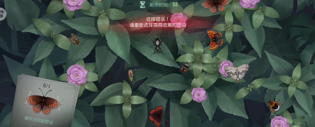 第五人格普林尼的标本怎么玩 第五人格普林尼的标本怎么玩