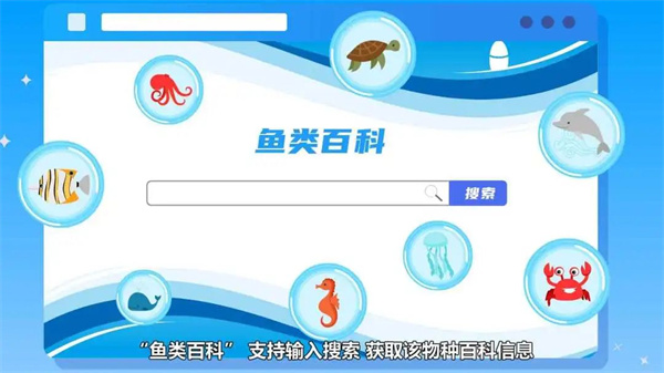 看鱼