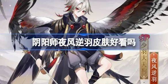 阴阳师夜风逆羽皮肤怎么样
