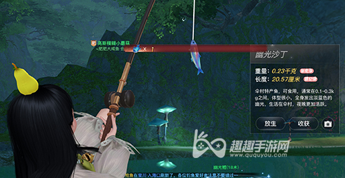 天谕手游幽光沙丁05