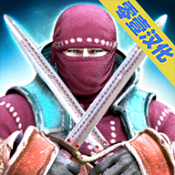 忍者与武士