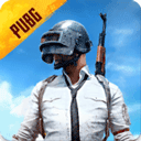 pubgmobile体验服手游