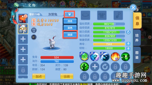 观看与隐藏宠物方法 天书奇谈手游宠物怎么显示出来