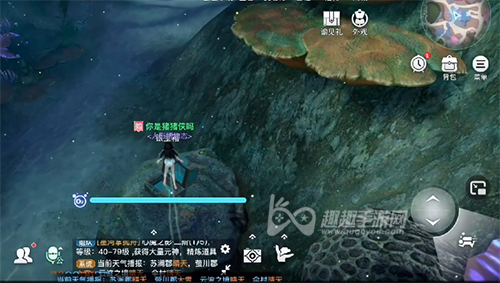 天谕手游生生不息小丑鱼生命之能12