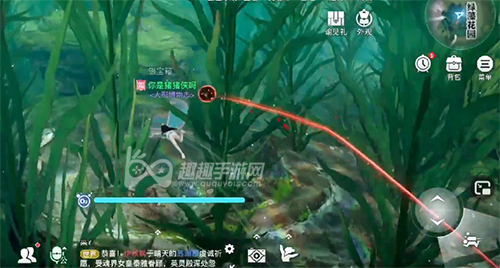 天谕手游生生不息小丑鱼生命之能03