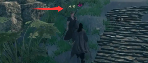 下一站江湖2云鹤村奇遇攻略：菩提石像任务全流程详解