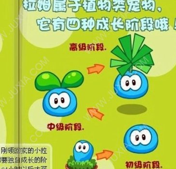摩尔庄园拉姆怎么成长 拉姆培养方法详解攻略