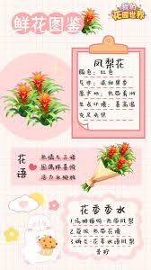 我的花园世界凤梨花如何  我的花园世界凤梨花怎么样
