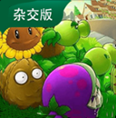 植物大战僵尸杂交版云