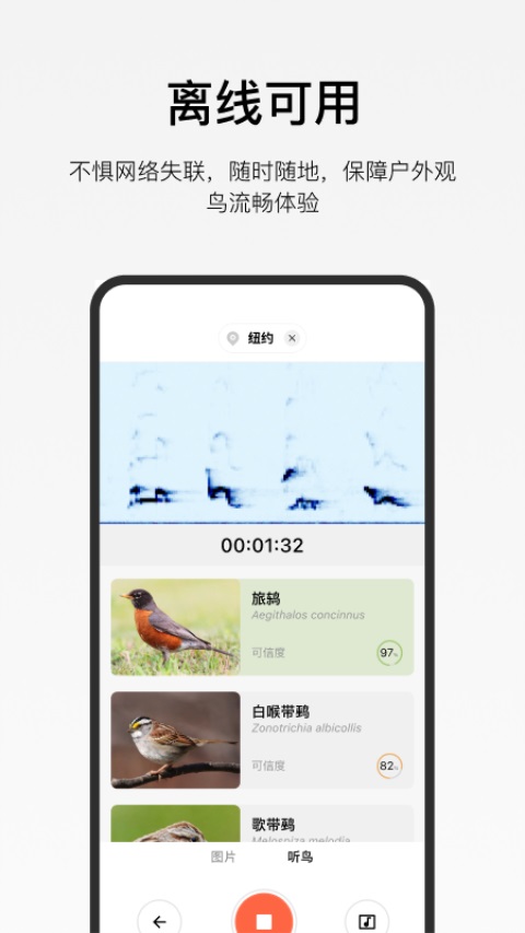 懂鸟全球鸟类识别