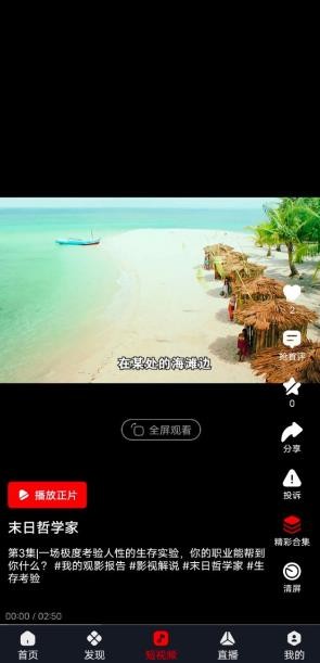 网飞猫