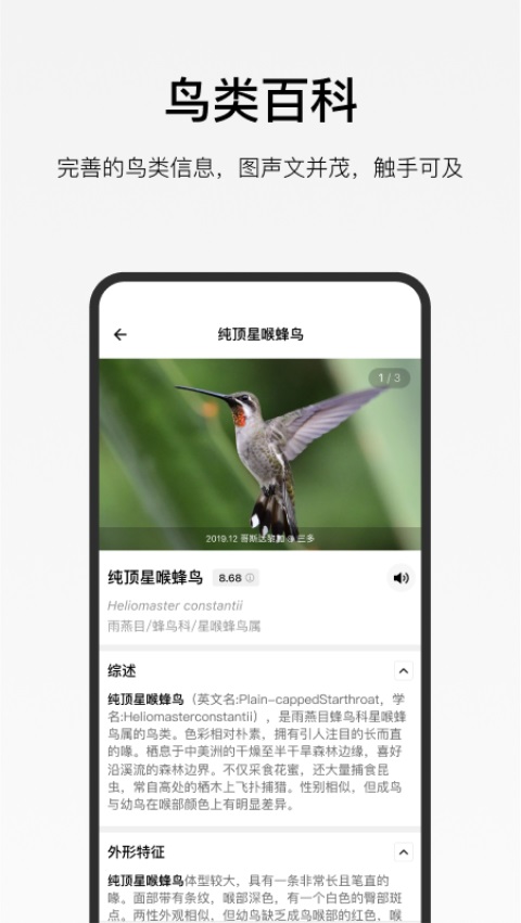 懂鸟全球鸟类识别