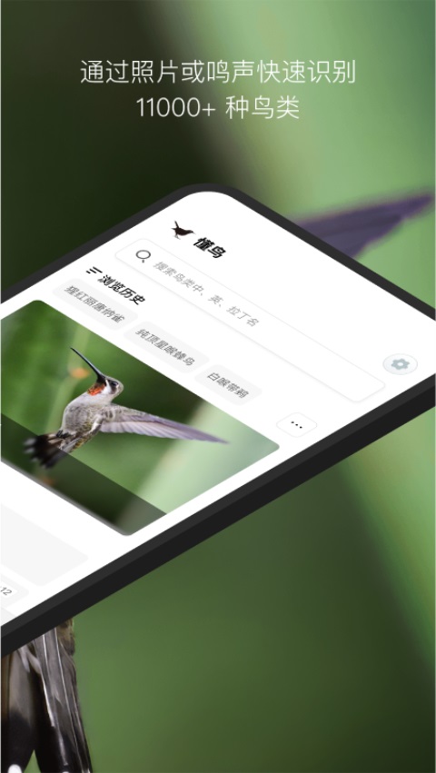 懂鸟全球鸟类识别