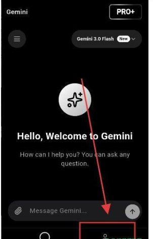 gemini