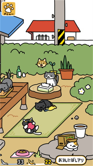 猫咪后院2下载中文版