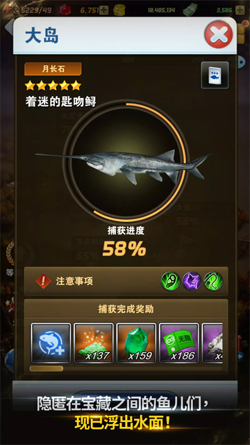 钓鱼发烧友