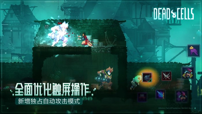 死亡细胞