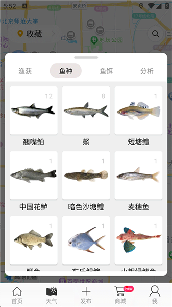 Catches