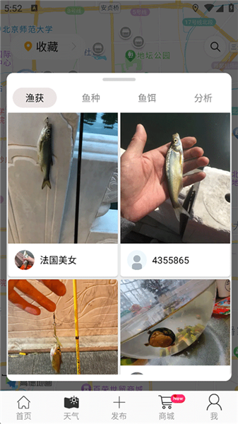 Catches