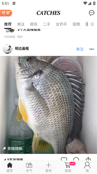 Catches