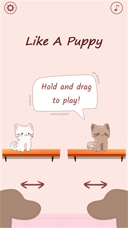 猫咪二重奏正版