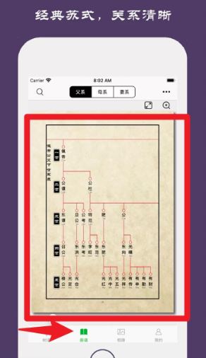 族记官方正版