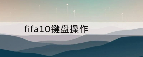 fifa10键盘操作技巧 键盘手柄流出招指南