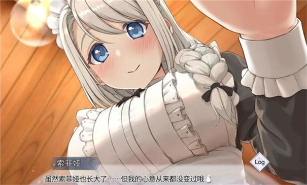 我与索菲亚的秘密完整版