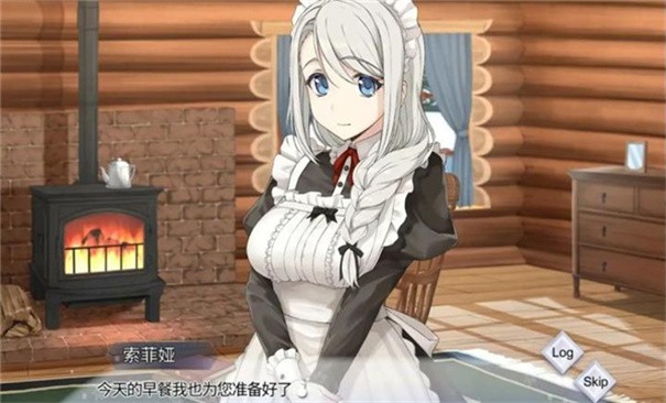 我与索菲亚的秘密完整版