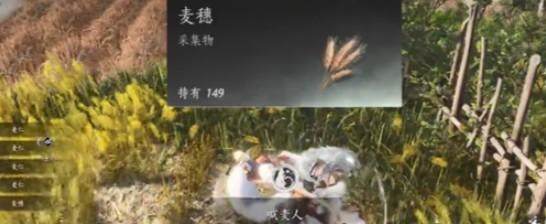 燕云十六声滹沱麦子成就攻略，获取方法与位置 - 