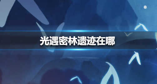 光遇密林遗迹在哪 密林遗迹具体位置一览