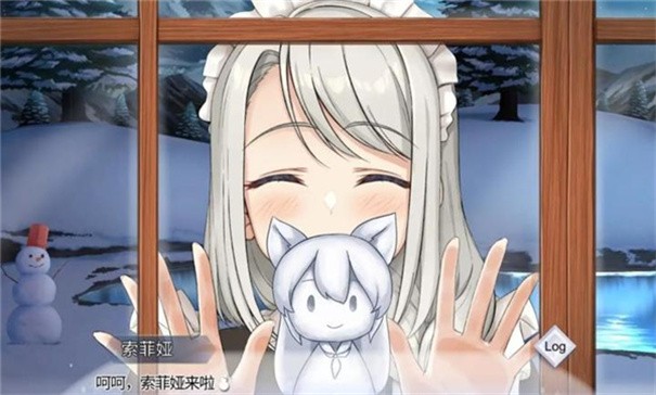 我与索菲亚的秘密完整版