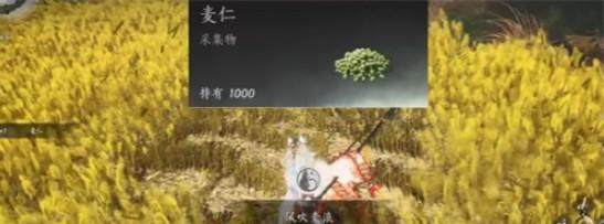 燕云十六声滹沱麦子成就攻略，获取方法与位置 - 