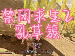 禁闭求生2草籽获取位置  禁闭求生2草籽怎么获取