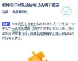 能头朝下睡觉的海洋哺乳动物是哪种  哪种海洋哺乳动物能头朝下睡觉