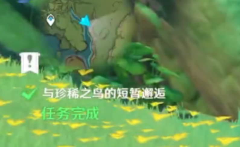 原神怎么完成与珍稀之鸟的短暂邂逅